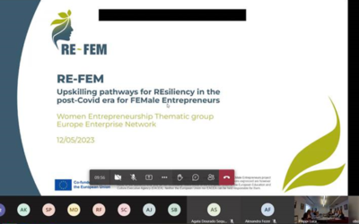 RE FEM showcased at the meeting of the Women Entrepreneurship Thematic Group of the Enterprise Europe Network