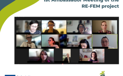 First online meeting with the RE-FEM Ambassadors