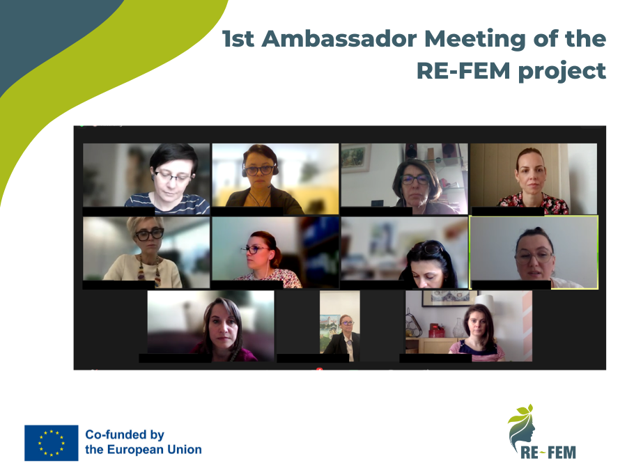 First online meeting with the RE-FEM Ambassadors